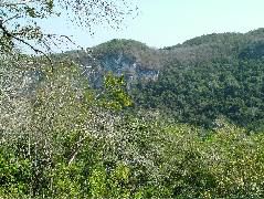 DSCF2301.JPG
