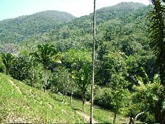 DSCF2302.JPG