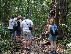 DSCF2011.JPG