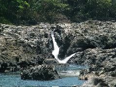 DSCF2304.JPG