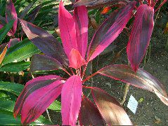 DSCF2325.JPG
