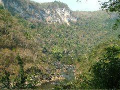 DSCF2328.JPG