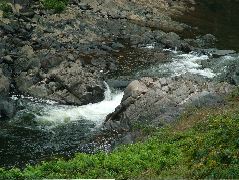 DSCF2331.JPG