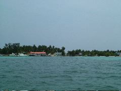 DSCF2342.JPG