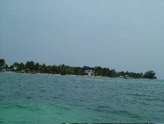 DSCF2343.JPG