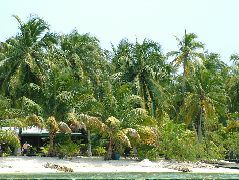 DSCF2344.JPG