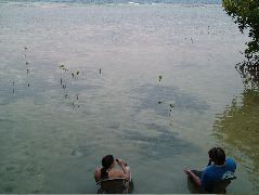 DSCF2345.JPG