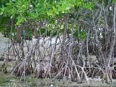 DSCF2347.JPG