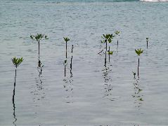 DSCF2348.JPG