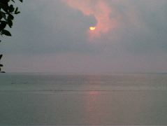 DSCF2349.JPG