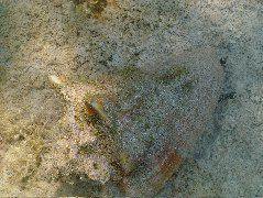 DSCF2354.JPG