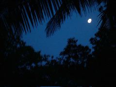 DSCF2361.JPG
