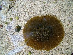DSCF2370.JPG