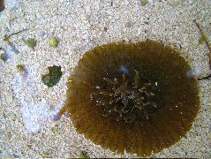 DSCF2371.JPG