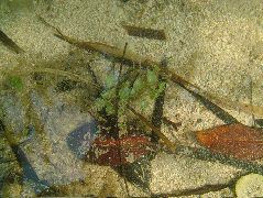 DSCF2372.JPG