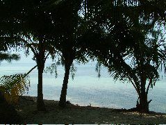 DSCF2383.JPG
