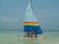 DSCF2384.JPG