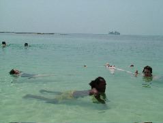 DSCF2386.JPG