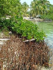 DSCF2388.JPG