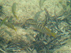 DSCF2390.JPG