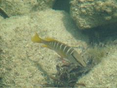 DSCF2391.JPG