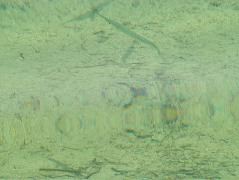 DSCF2393.JPG
