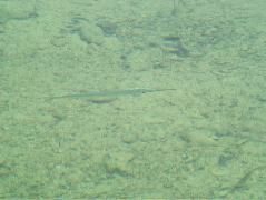 DSCF2396.JPG