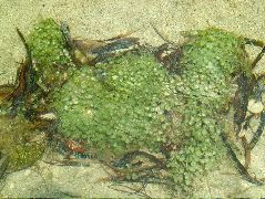 DSCF2397.JPG