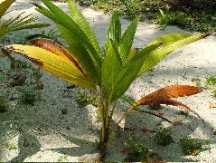 DSCF2402.JPG