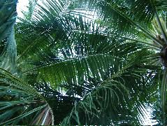 DSCF2404.JPG