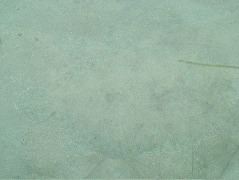 DSCF2416.JPG