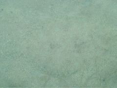 DSCF2417.JPG