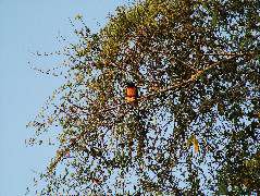 DSCF2033.JPG