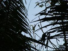 DSCF2036.JPG