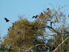 DSCF2037.JPG