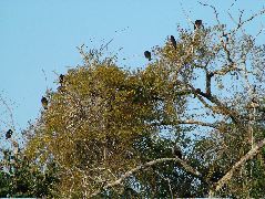 DSCF2038.JPG