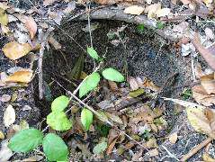 DSCF2040.JPG