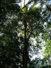 DSCF2042.JPG