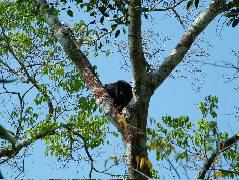 DSCF2053.JPG