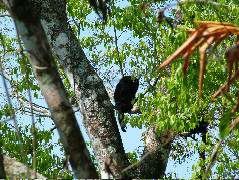 DSCF2054.JPG