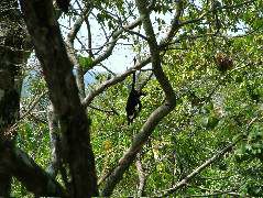 DSCF2062.JPG