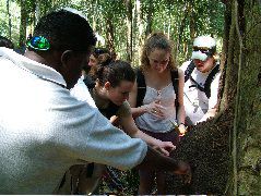DSCF2074.JPG