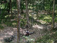 DSCF2079.JPG