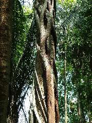 DSCF2081.JPG