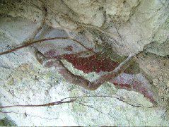 DSCF2082.JPG