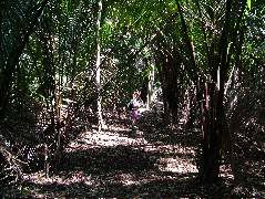 DSCF2083.JPG