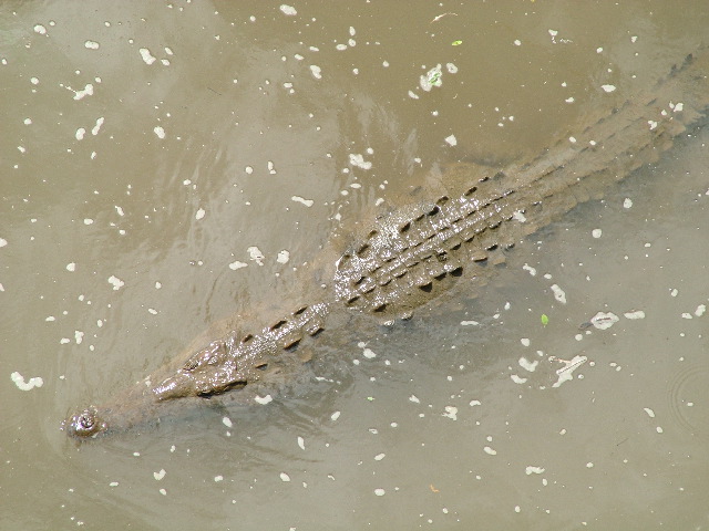DSCF8691.JPG