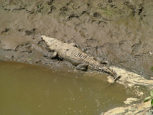 DSCF8692.JPG