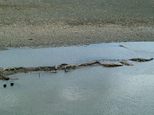 DSCF8694.JPG