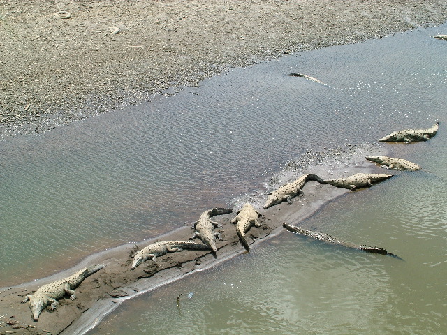 DSCF8695.JPG